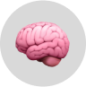 brain